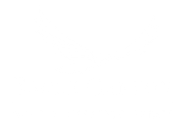 Eagle Canyon logo